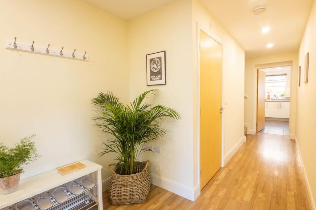 The Wellness Lodge- Gym, Table Tennis, Cinema, Parking And More! Bath Exterior photo